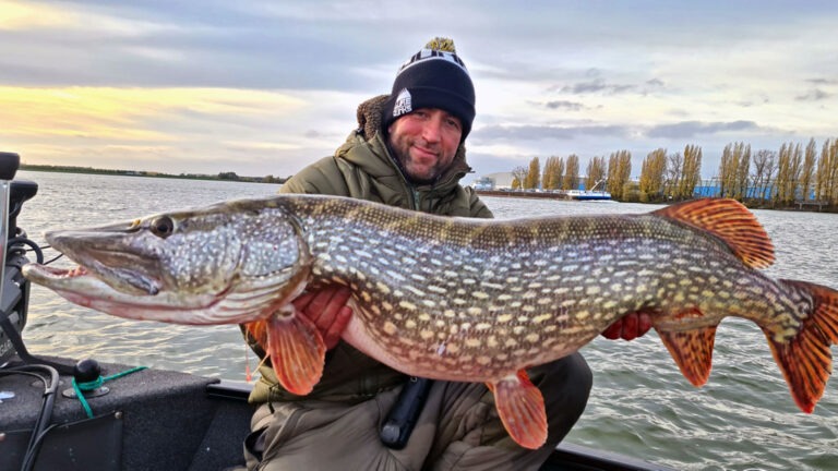 Hecht Angeln: Die besten Tipps vom Raubfischprofi